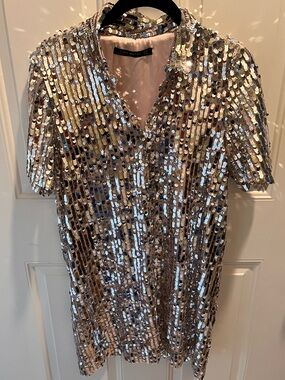 Zara Silver Sequin Dress with Pink Lining